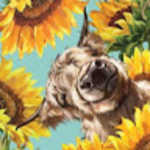 Meet your Posher, Ashtyn